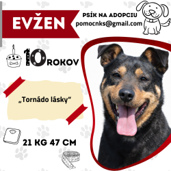 EVŽEN