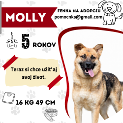 MOLLY