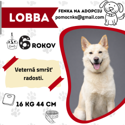 LOBBA