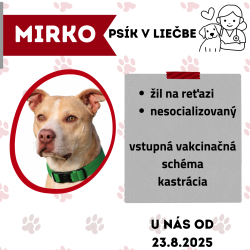 MIRKO