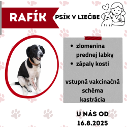 RAFÍK
