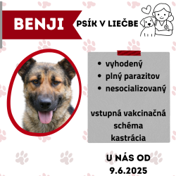 BENJI