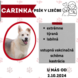 CARINKA