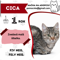 CICA