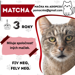 MATCHA