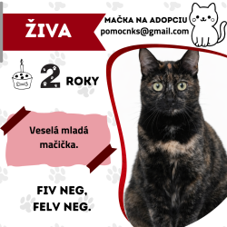 ŽIVA