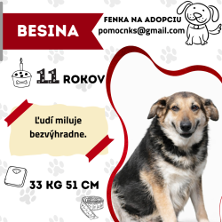 BESINA