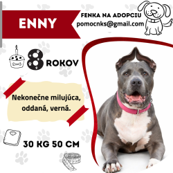 ENNY