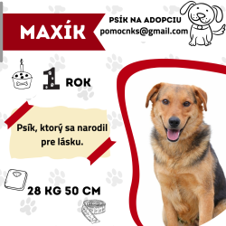 MAXÍK