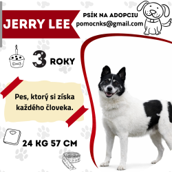 JERRY LEE