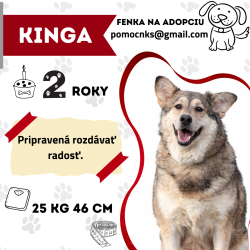 KINGA