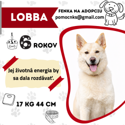 LOBBA