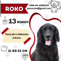 ROKO