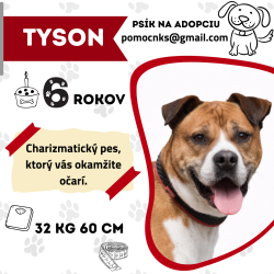 TYSON