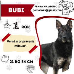 BUBI
