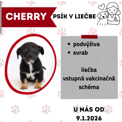 CHERRY