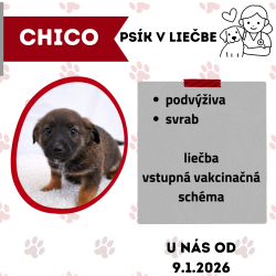 CHICO