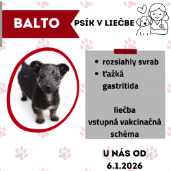 BALTO