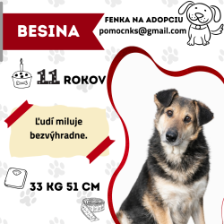 BESINA