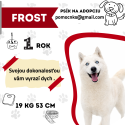 FROST