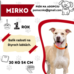 MIRKO