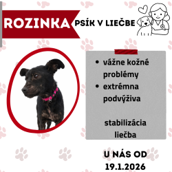 ROZINKA