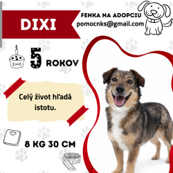 DIXI
