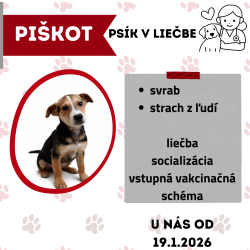 PIŠKOT