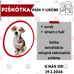 PIŠKÓTKA