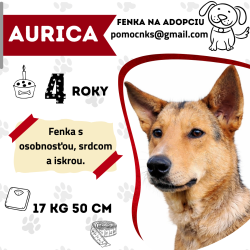 AURICA