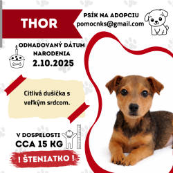 THOR