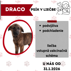 DRACO