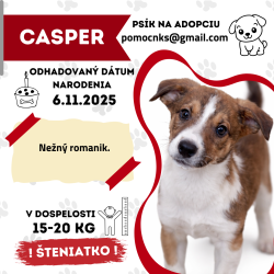 CASPER