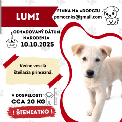 LUMI