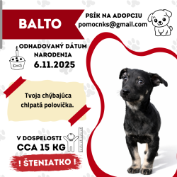 BALTO