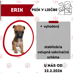 ERIK