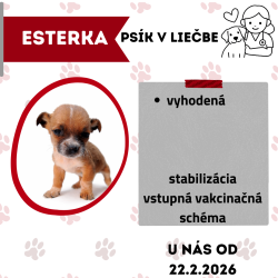 ESTERKA