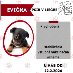 EVIČKA
