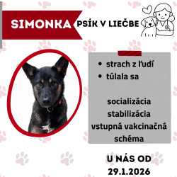 SIMONKA