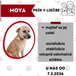MOYA