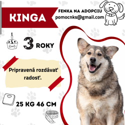 KINGA