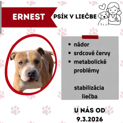 ERNEST