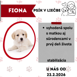 FIONA