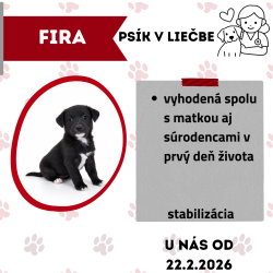 FIRA