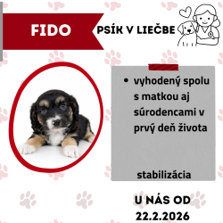 FIDO