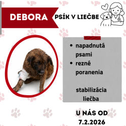 DEBORA