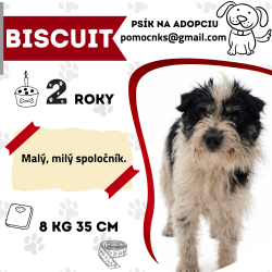 BISCUIT