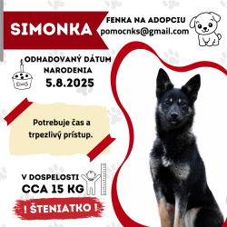 SIMONKA