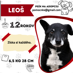 LEOŠ