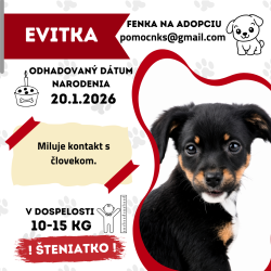 EVITKA